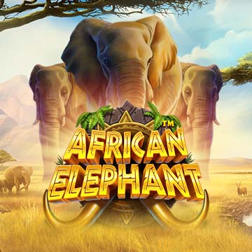 African Elephant