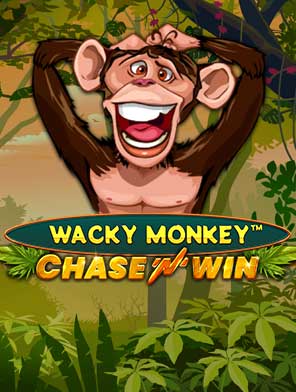 Wacky Monkey ChaseNWin